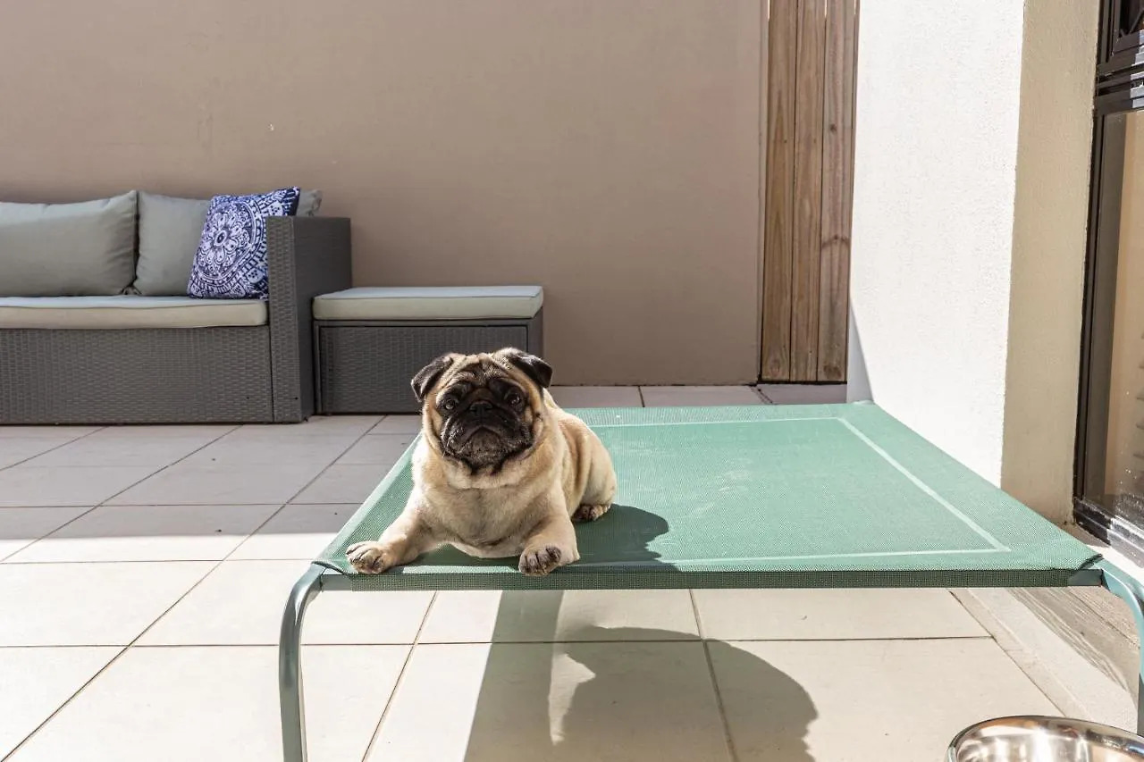 Pet Friendly 5 Bedroom Family Home W Pool At Caloundra Caloundra West 0*,